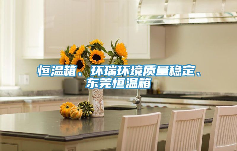 恒溫箱、環(huán)瑞環(huán)境質(zhì)量穩(wěn)定、東莞恒溫箱