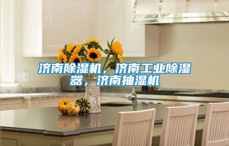 濟(jì)南除濕機(jī)，濟(jì)南工業(yè)除濕器，濟(jì)南抽濕機(jī)