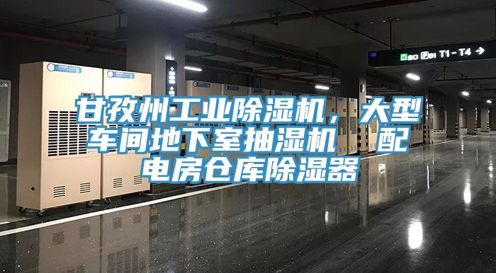 甘孜州工業(yè)除濕機(jī)，大型車間地下室抽濕機(jī)  配電房倉庫除濕器