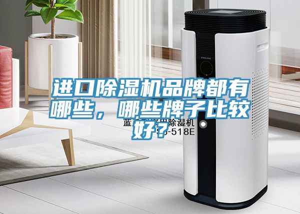 進(jìn)口除濕機(jī)品牌都有哪些，哪些牌子比較好？