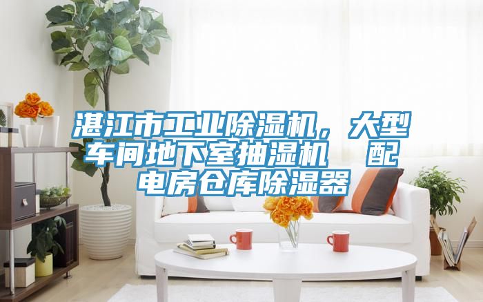 湛江市工業(yè)除濕機(jī)，大型車間地下室抽濕機(jī)  配電房倉庫除濕器