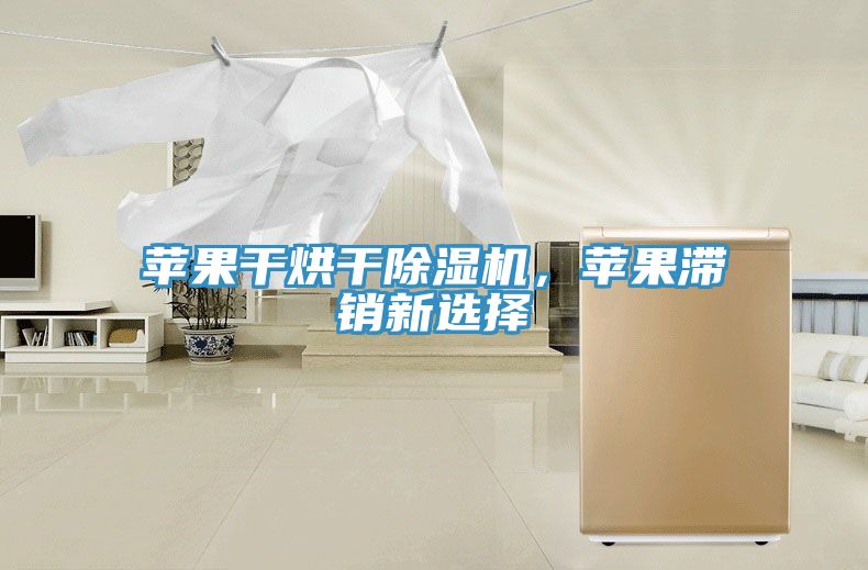 蘋果干烘干除濕機(jī)，蘋果滯銷新選擇