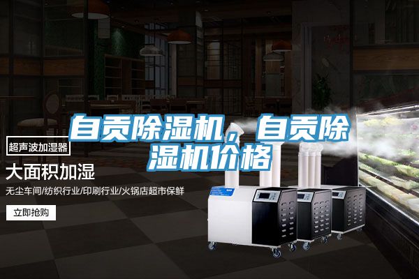 自貢除濕機(jī)，自貢除濕機(jī)價(jià)格