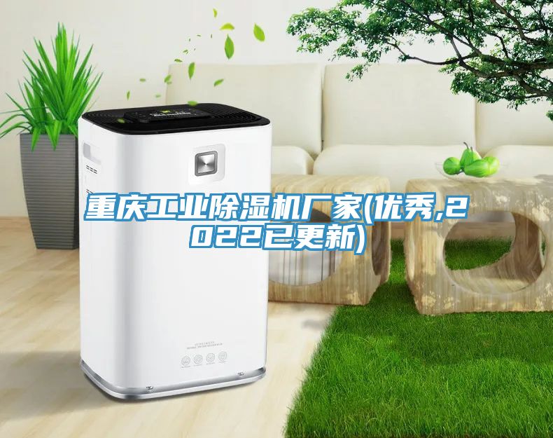 重慶工業(yè)除濕機(jī)廠(chǎng)家(優(yōu)秀,2022已更新)