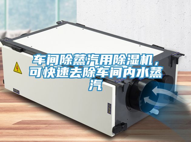 車間除蒸汽用除濕機，可快速去除車間內(nèi)水蒸汽