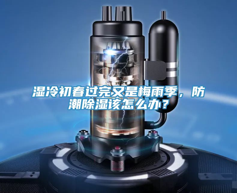 濕冷初春過完又是梅雨季，防潮除濕該怎么辦？