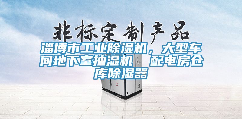 淄博市工業(yè)除濕機(jī)，大型車(chē)間地下室抽濕機(jī)  配電房倉(cāng)庫(kù)除濕器