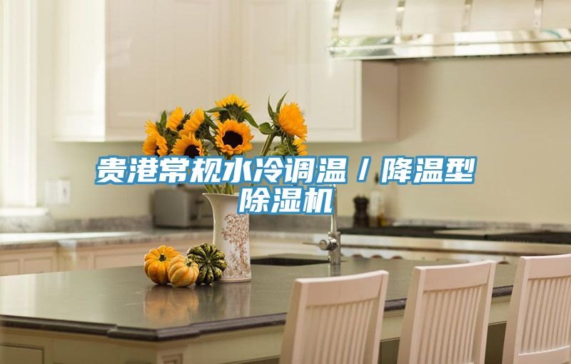 貴港常規(guī)水冷調(diào)溫／降溫型除濕機(jī)