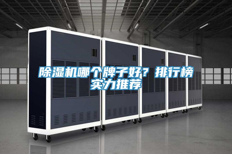 除濕機(jī)哪個(gè)牌子好？排行榜實(shí)力推薦