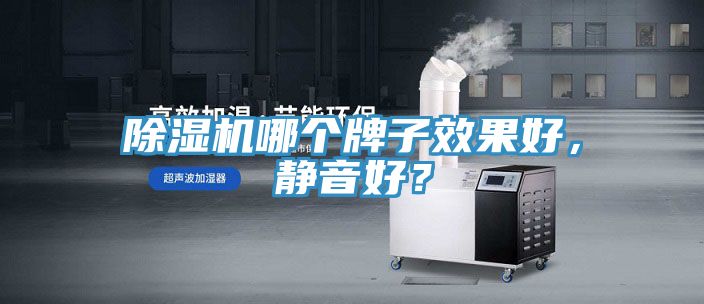除濕機(jī)哪個(gè)牌子效果好，靜音好？