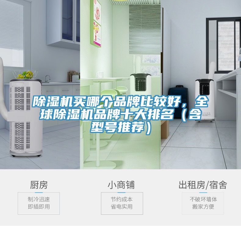 除濕機買哪個品牌比較好，全球除濕機品牌十大排名（含型號推薦）