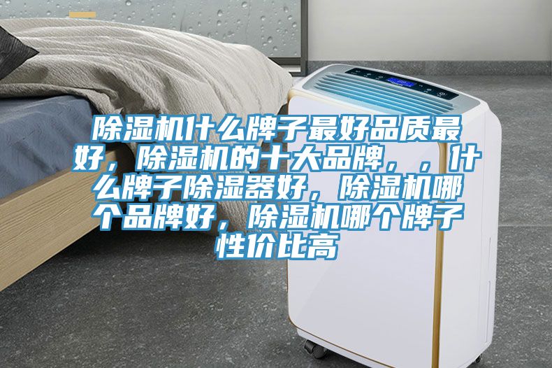 除濕機(jī)什么牌子最好品質(zhì)最好，除濕機(jī)的十大品牌，，什么牌子除濕器好，除濕機(jī)哪個(gè)品牌好，除濕機(jī)哪個(gè)牌子性價(jià)比高