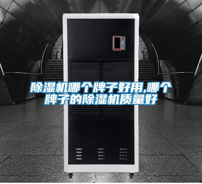 除濕機(jī)哪個牌子好用,哪個牌子的除濕機(jī)質(zhì)量好