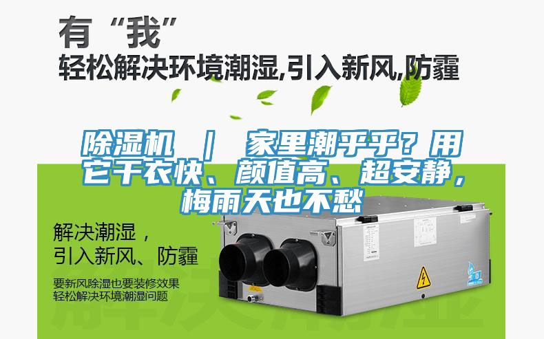 除濕機(jī) ｜ 家里潮乎乎？用它干衣快、顏值高、超安靜，梅雨天也不愁