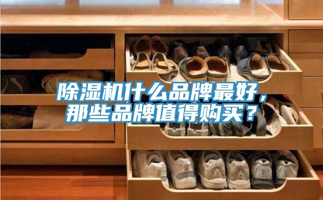 除濕機(jī)什么品牌最好，那些品牌值得購買？
