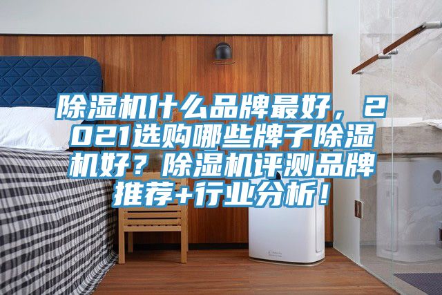 除濕機(jī)什么品牌最好，2021選購哪些牌子除濕機(jī)好？除濕機(jī)評測品牌推薦+行業(yè)分析！