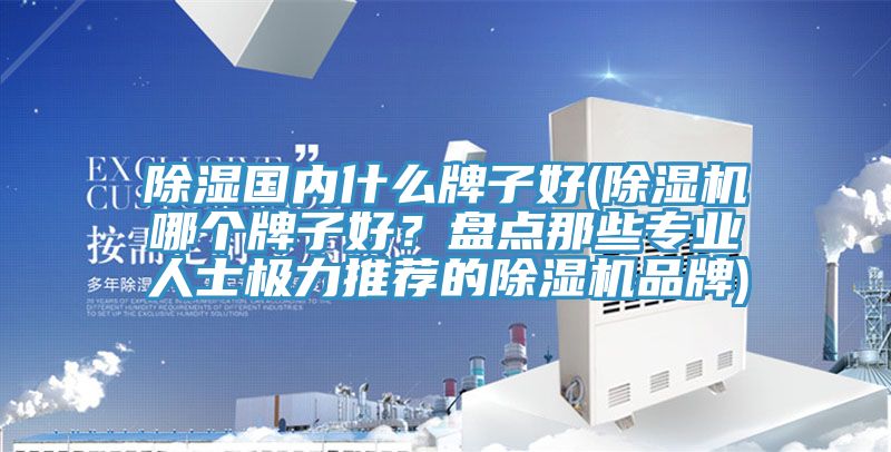 除濕國(guó)內(nèi)什么牌子好(除濕機(jī)哪個(gè)牌子好？盤點(diǎn)那些專業(yè)人士極力推薦的除濕機(jī)品牌)
