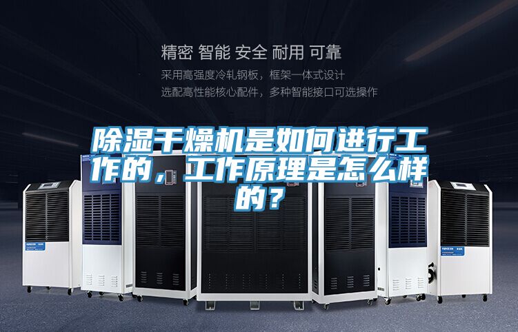 除濕干燥機是如何進行工作的，工作原理是怎么樣的？