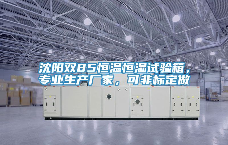 沈陽雙85恒溫恒濕試驗箱，專業(yè)生產(chǎn)廠家，可非標(biāo)定做