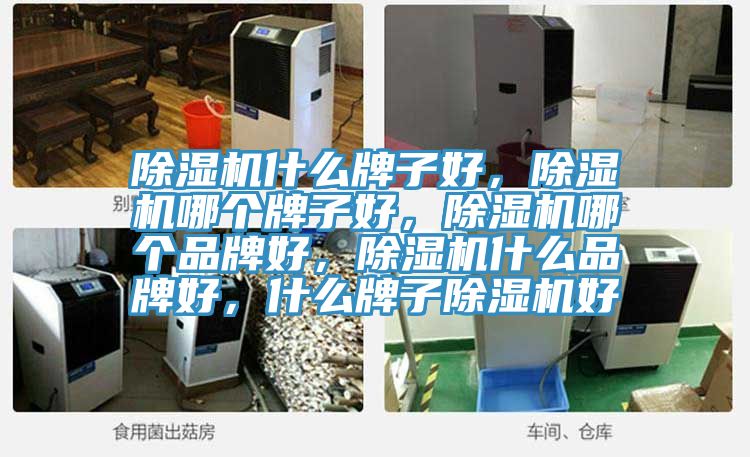 除濕機什么牌子好，除濕機哪個牌子好，除濕機哪個品牌好，除濕機什么品牌好，什么牌子除濕機好
