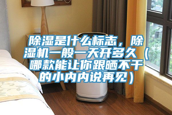除濕是什么標志，除濕機一般一天開多久（哪款能讓你跟曬不干的小內(nèi)內(nèi)說再見）
