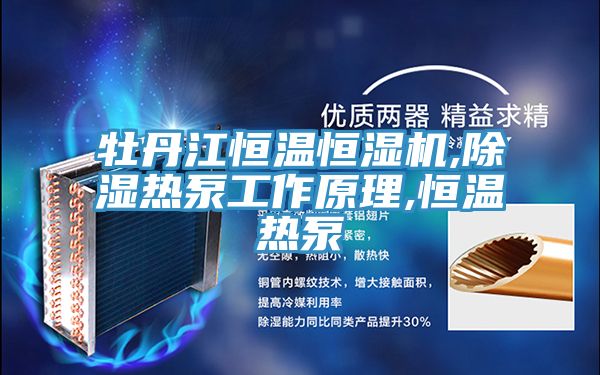 牡丹江恒溫恒濕機,除濕熱泵工作原理,恒溫?zé)岜?></div>
								<div   id=