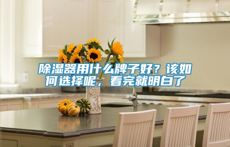 除濕器用什么牌子好？該如何選擇呢，看完就明白了