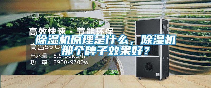 除濕機(jī)原理是什么，除濕機(jī)那個(gè)牌子效果好？