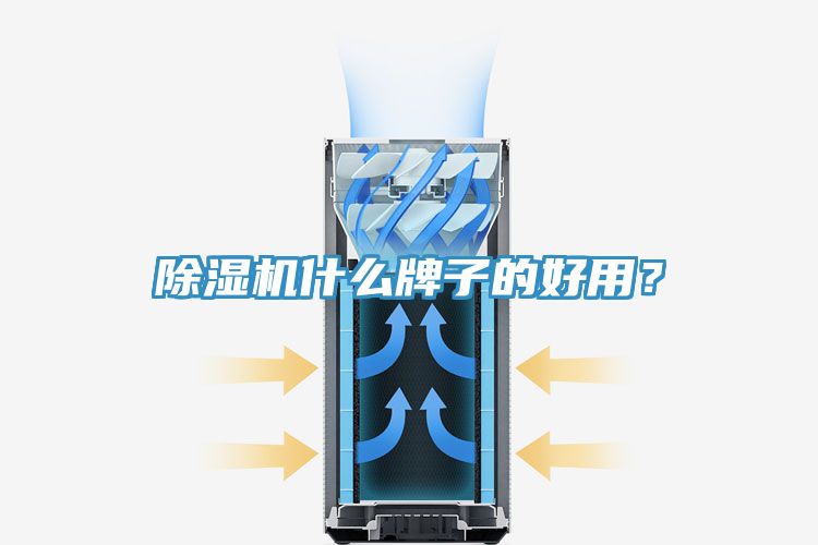 除濕機(jī)什么牌子的好用？