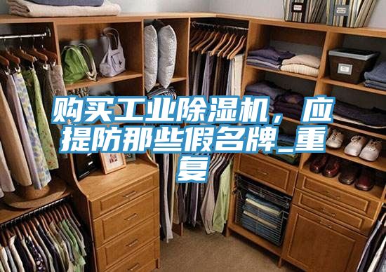 購買工業(yè)除濕機，應(yīng)提防那些假名牌_重復(fù)