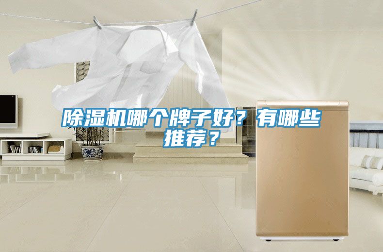 除濕機(jī)哪個(gè)牌子好？有哪些推薦？
