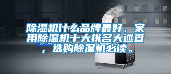 除濕機(jī)什么品牌最好，家用除濕機(jī)十大排名大巡查，選購除濕機(jī)必讀。