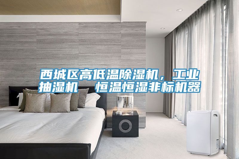 西城區(qū)高低溫除濕機(jī)，工業(yè)抽濕機(jī)  恒溫恒濕非標(biāo)機(jī)器