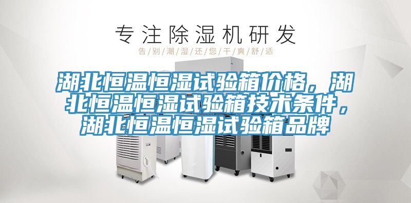 湖北恒溫恒濕試驗(yàn)箱價(jià)格，湖北恒溫恒濕試驗(yàn)箱技術(shù)條件，湖北恒溫恒濕試驗(yàn)箱品牌