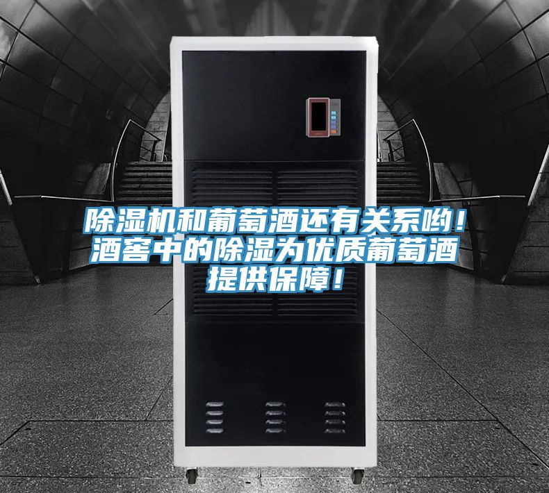 除濕機和葡萄酒還有關系喲！酒窖中的除濕為優(yōu)質葡萄酒提供保障！