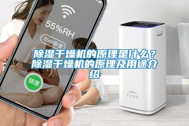 除濕干燥機的原理是什么？除濕干燥機的原理及用途介紹