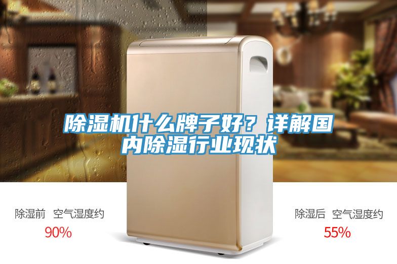 除濕機(jī)什么牌子好？詳解國內(nèi)除濕行業(yè)現(xiàn)狀