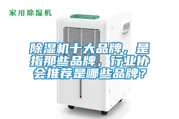 除濕機十大品牌，是指那些品牌，行業(yè)協(xié)會推薦是哪些品牌？