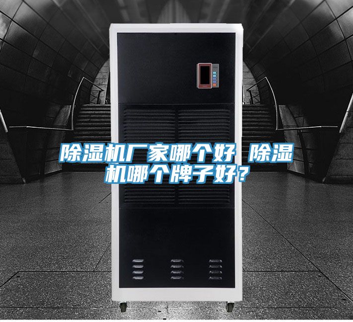 除濕機(jī)廠家哪個(gè)好 除濕機(jī)哪個(gè)牌子好？