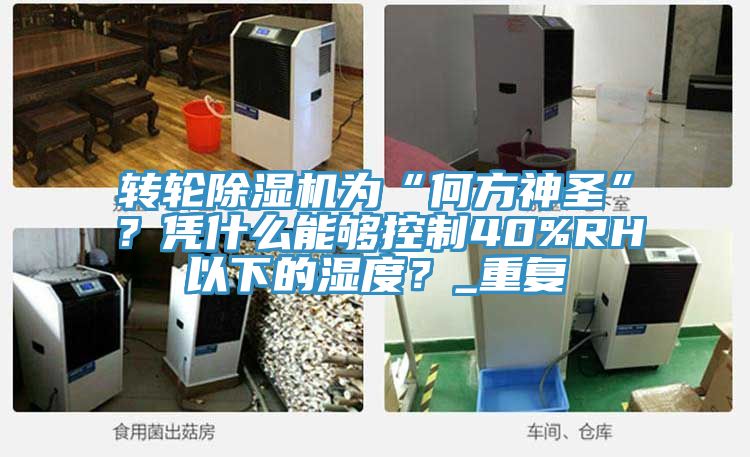 轉(zhuǎn)輪除濕機(jī)為“何方神圣”？憑什么能夠控制40%RH以下的濕度？_重復(fù)