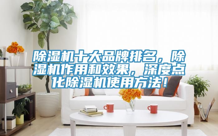 除濕機十大品牌排名，除濕機作用和效果，深度點化除濕機使用方法！