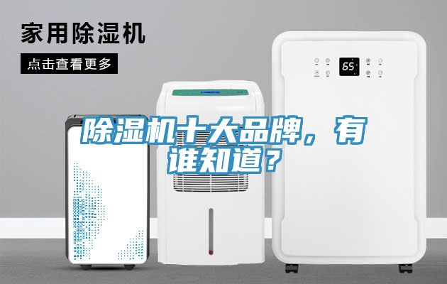 除濕機十大品牌，有誰知道？