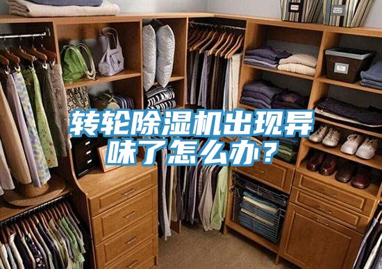 轉輪除濕機出現異味了怎么辦？