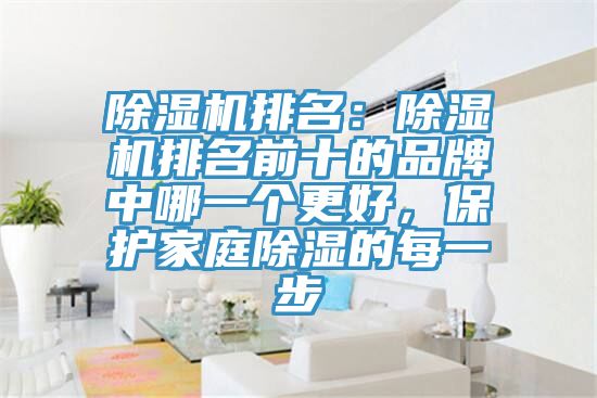 除濕機排名：除濕機排名前十的品牌中哪一個更好，保護家庭除濕的每一步