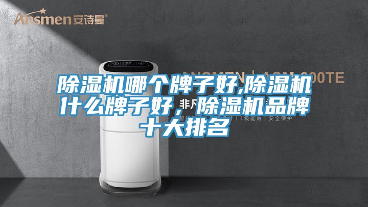 除濕機(jī)哪個(gè)牌子好,除濕機(jī)什么牌子好，除濕機(jī)品牌十大排名