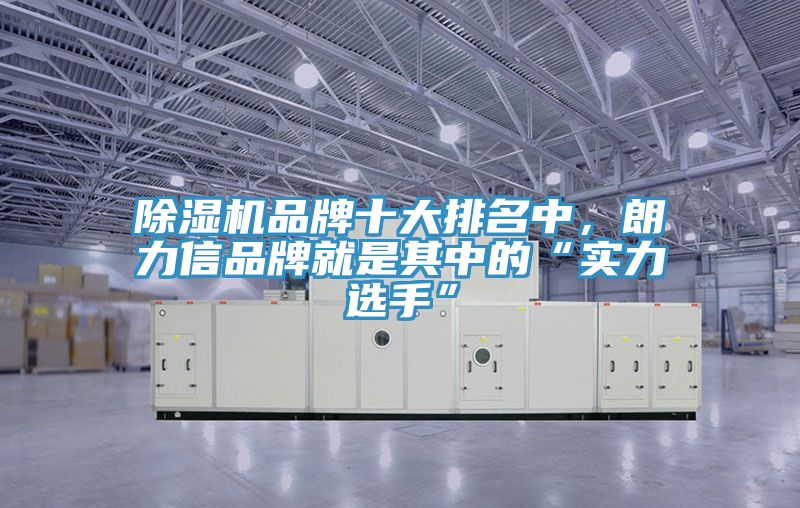 除濕機品牌十大排名中，朗力信品牌就是其中的“實力選手”