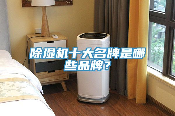 除濕機(jī)十大名牌是哪些品牌？