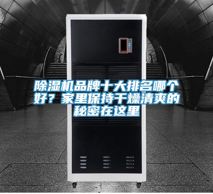 除濕機品牌十大排名哪個好？家里保持干燥清爽的秘密在這里