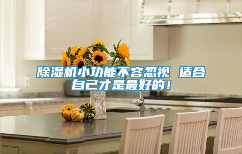 除濕機(jī)小功能不容忽視 適合自己才是最好的！