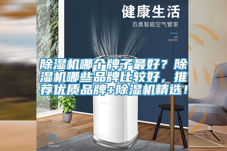 除濕機哪個牌子最好？除濕機哪些品牌比較好，推薦優(yōu)質品牌+除濕機精選！